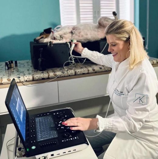 Dra. Adriana Klein realizando ultrassom em um cão