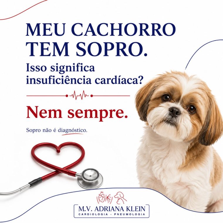 Meu cachorro tem sopro. Isso significa insuficiência cardíaca?