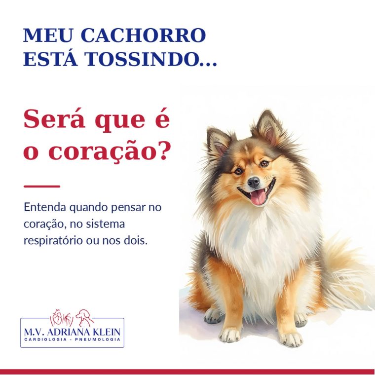 Meu cachorro está tossindo. Será que é o coração?